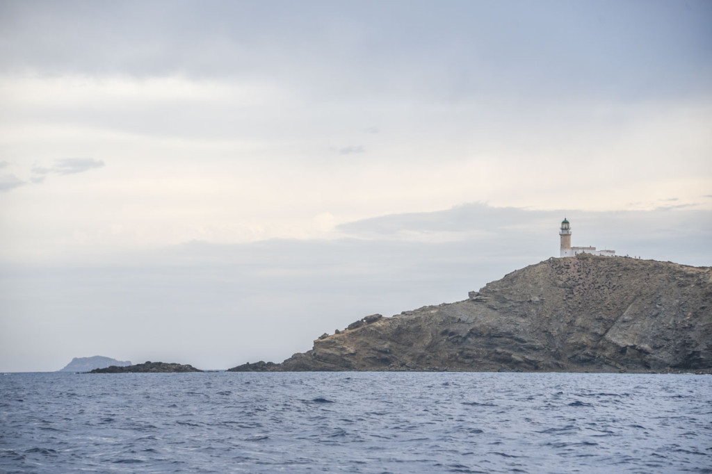 Greek Are Us et. al. 2016 (Day 4)-5