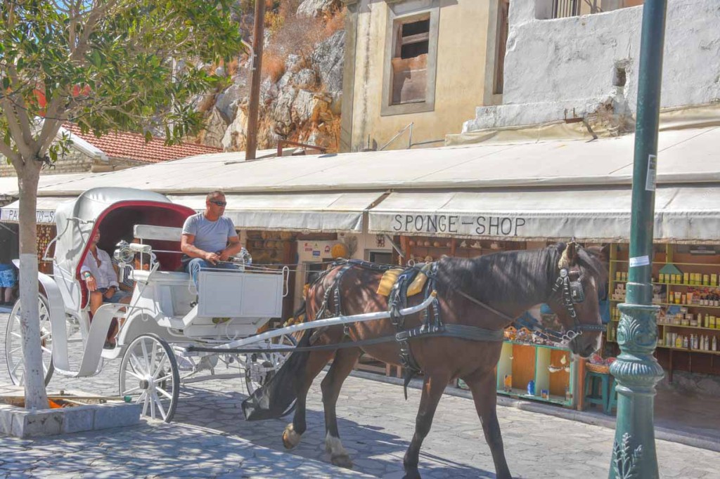 Greek Are Us et. al. 2016 (Day 5)_-41