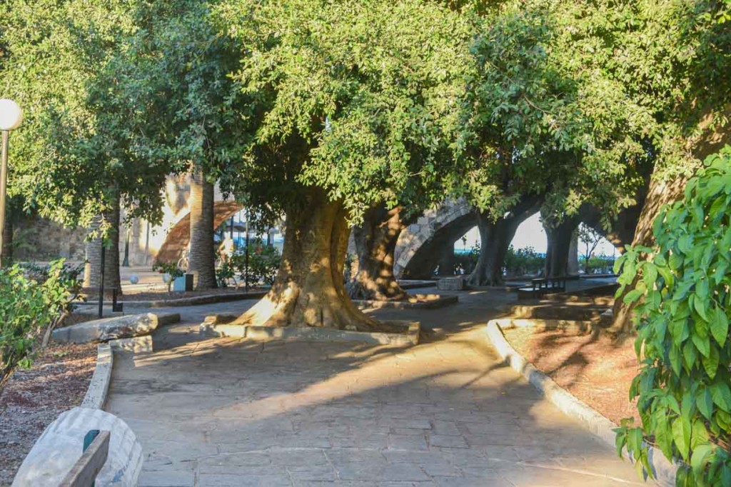 Greek Are Us et. al. 2016 (Day 8)_-32