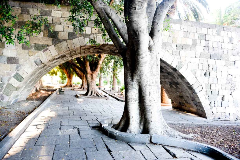 Greek Are Us et. al. 2016 (Day 8)_-34