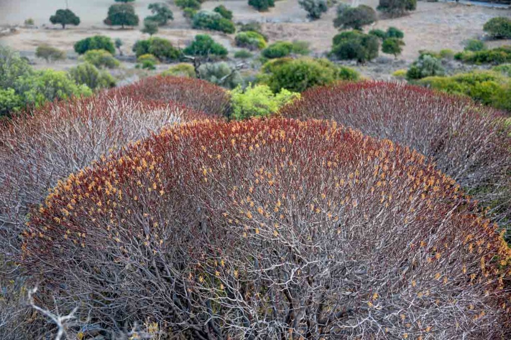 Greek Are Us et. al. 2016 (Day 8)_-60